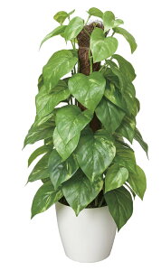 tFCNO[ ϗtA tFCN lHϗtA G}  CeA A  j    lC C  rO ItBX  Vv R L ϗt t