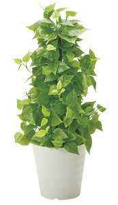 tFCNO[ ϗtA tFCN lHϗtA G}  CeA A  j    lC C  rO ItBX  Vv R L ϗt |[