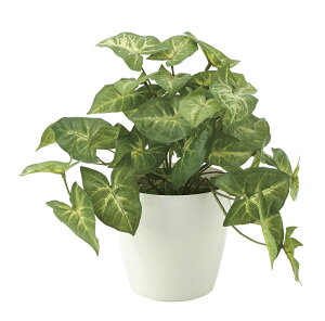 tFCNO[ ϗtA tFCN lHϗtA G}  CeA A  j    lC C  rO ItBX  Vv R L ϗt t