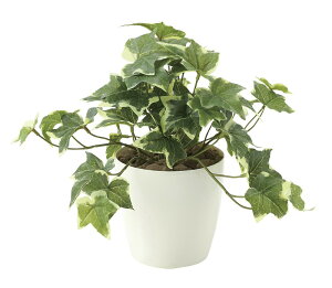 tFCNO[ ϗtA tFCN lHϗtA G}  CeA A  j    lC C  rO ItBX  Vv R L ϗt t