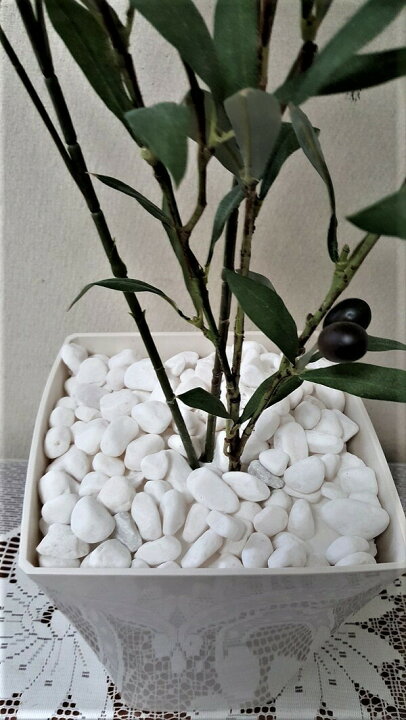 楽天市場 人工観葉植物 オリーブ 80ｃｍ 触媒加工品 フェイクグリーン 造花 オリーブの木の花言葉は 平和 と 知恵 送料無料 造花の専門店 きつつき