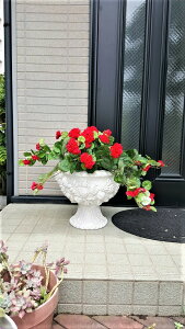  CeA v^[  lHϗtA[j[v^[Cp`FXv^[~bNXO[v^[ԑ3肨IщB