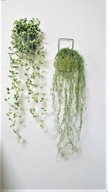 人工観葉植物グリーン壁掛け送料無料触媒加工品2柄よりお選び下さい。