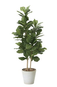 tFCNO[ ϗtA tFCN lHϗtA G}  CeA A  j    lC C  rO ItBX  Vv R L ϗt JV