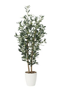 tFCNO[ ϗtA tFCN lHϗtA G}  CeA A  j    lC C  rO ItBX  Vv R L ϗt I?