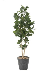 tFCNO[ ϗtA tFCN lHϗtA G}  CeA A  j    lC C  rO ItBX  Vv R L ϗt p