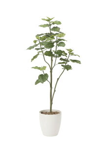 tFCNO[ ϗtA tFCN lHϗtA G}  CeA A  j    lC C  rO ItBX  Vv R L ϗt E