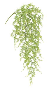 ���ԃK�[�����h �l�H�ϗt�A�� �t���V���t�@�[���o�C�� �@�@������s�@�O���[���c�^