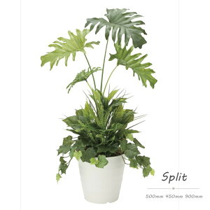 tFCNO[ ϗtA tFCN lHϗtA G}  CeA A  j    lC C  rO ItBX  Vv R L ϗt Xv