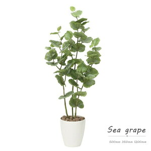 tFCNO[ ϗtA tFCN lHϗtA G}  CeA A  j    lC C  rO ItBX  Vv R L ϗt  V