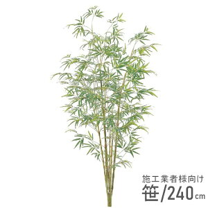 ou[c[ 240cm@{HЗl  ʔ   ou[ 