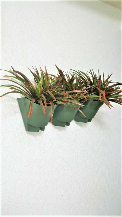 楽天市場】【人工観葉植物】【壁面緑化】【屋外使用可】【壁掛け 