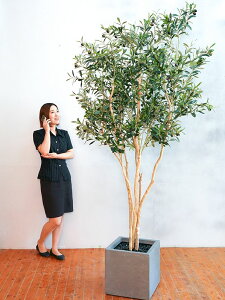 tFCNO[ ϗtA tFCN lHϗtA G}  CeA A  j    lC C  rO ItBX  Vv R L ϗt I