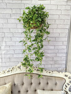 lHϗtA@O[Ǌ|@tFCNO[@gfCXJXǊ|@@_ChG}Hi@Ǌ|@O[@IV@@fBXvC@i`@