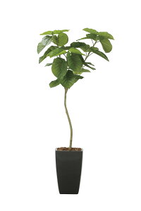 tFCNO[ ϗtA tFCN lHϗtA G}  CeA A  j    lC C  rO ItBX  Vv R L ϗt A[