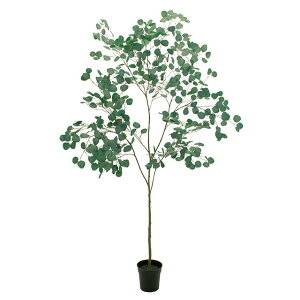 tFCNO[@lHϗtA@[J|bg1.8m@@@@CeAO[@O[@͂Ȃ@fBXvC@lHϗtA@ȒP@^@JXj@