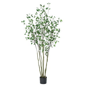 tFCNO[@lHϗtA@^O[@hE_ccW|bg1.7m