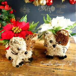 ňlɒ/NX}X/|CZ`A// y// AWg/Mtg///|CZ`A/|CZ`A/sv/͂Ȃ//̑/~//fBXv