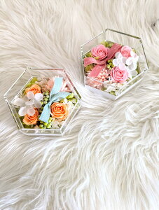 \[vt[@Zp{bNX@@2F肨Iт@̓Mtg@{bNXAW@\[vt[@@Mtg@Y@Iׂ@̓@mother@Mtg{bNX@蕨@