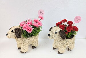 ̓MtgRNV@Aj}V[Y@8肨Iщ@