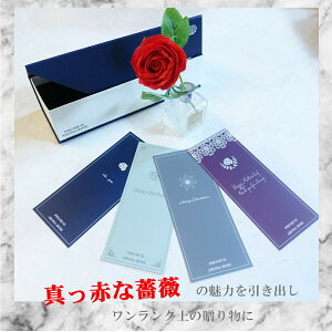 ̓ v[g \[vt[ {bNX Mtg  a o[Xf[ Ԃ̓ \[vt[  KN Ԃт KNC 蕨   [Y tOX\[v A