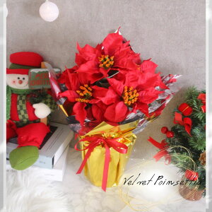 ňlɒ/NX}X/|CZ`A//|CZ`A AWg/y// AWg/Mtg/// sv/Ԃς/40CM/͂Ȃ//̑/~/