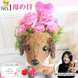 xĂ߂ ̓  Mtg َq  yV1 A[gt[ َq Zbg ̓ |bg sN CG[ v[g  t[ Mtg AW AWg Mtg 