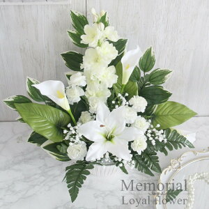   m mԂg{̂܂ ~ ~ V~   r   @   r  A Mtg AW ԑ