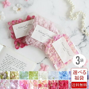 yz 3pbN t[y^ 49 ԁ@ 3pbN@NbN|Xg t[V[ 1pbN49 AWTC nChWA ۂ nhCh 