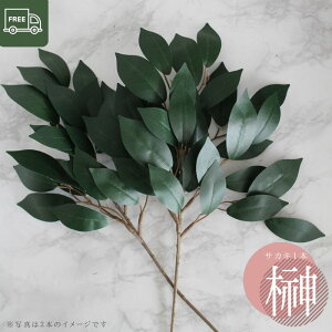    Xv[ ňlɒ oׁylCz؏i TJL _I  1{ |Xg    _I  yj͏