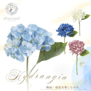 AWTC  nChWA  Pi fG IV lC z lۂ CeA  AWTC nChWA z C~e[Vt[ AWTCsbN nCh