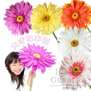  CeA 傫 K[x 傫  傫 rbNK[x 傫  K[x IׂJ[  F sN IW   Ԍo29cm ǎ ʒ\ 蔭 CeA 