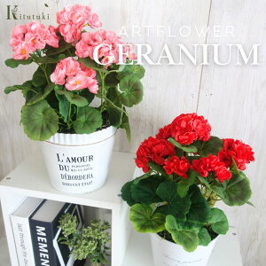 [jECeA|bg [jE A  |bg@v^[  {̂悤@4900~ Ԋ Iׂ3F 蕨   sN r[eB[ ϗtA tFCN lC 