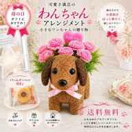 母の日 ギフト 花 犬 わんこ カーネーション スイーツ セット バウムクーヘン 枯れない アートフラワー …
