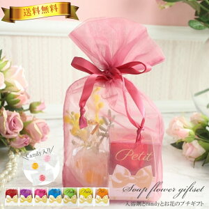   Ԃ  } EFfBO  I Cxg 񎟉 ei    I ސE  p uC_  bsO bZ[WJ[