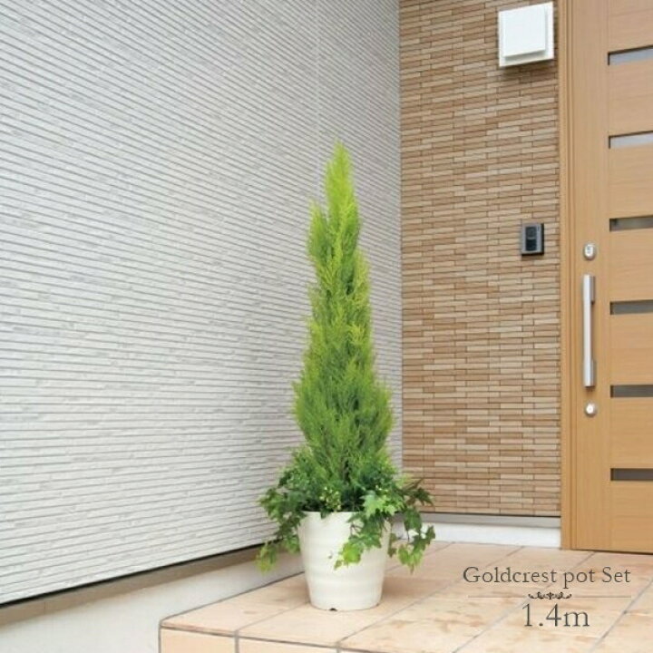 楽天市場】フェイクグリーン 観葉植物 フェイク 人工観葉植物 光触媒 