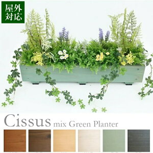  OΉ VTX~bNXO[v^[ v^[TCY60cm CObVK[f tFCNO[ v^[  VTXK[h new V_ AWg Ce