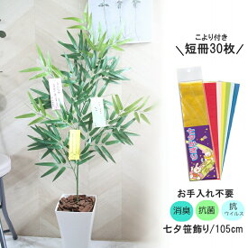 楽天市場 七夕 プレゼントの通販