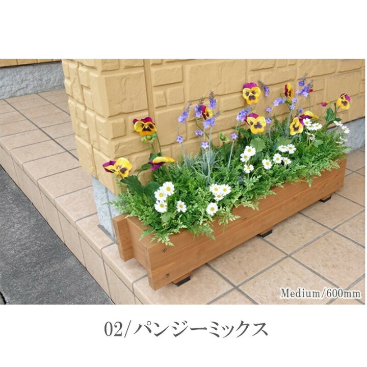 楽天市場 寄せ植え アレンジメント オーダーメイド寄せ植え 春 冬 夏 鉢 おしゃれ セット 苗 玄関 新築祝い ギフト 誕生日プレゼント 新居 おまかせプレミア 造花 アレンジメント ベランダ 造花の専門店 きつつき