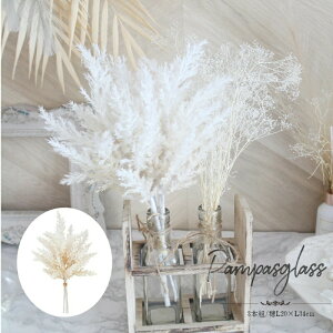 ppXOX CeA ppXOX  S@34cm 20cm× ͂Ȃ sv i` I[KjbN CeA EGfBO fBXvC V[gppXoh@