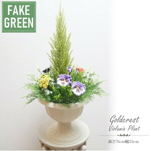 񂹐A AWg  S[hNXg   Ή 70cm35cm v