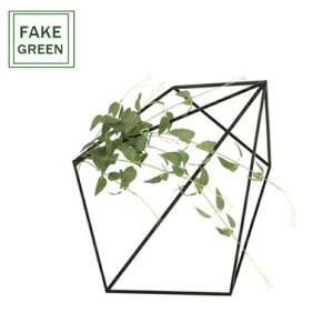 tFCNO[ ϗtA tFCN lHϗtA G}  CeA A  j    lC C  rO ItBX  Vv R L ϗt L