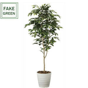 tFCNO[ ϗtA tFCN lHϗtA G}  CeA A  j    lC C  rO ItBX  Vv R L ϗt x