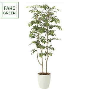 tFCNO[ ϗtA tFCN lHϗtA G}  CeA A  j    lC C  rO ItBX  Vv R L ϗt }E