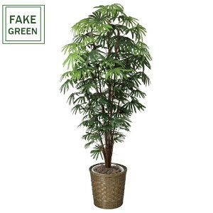 tFCNO[ ϗtA tFCN lHϗtA G}  CeA A  j    lC C  rO ItBX  Vv R L ϗt V