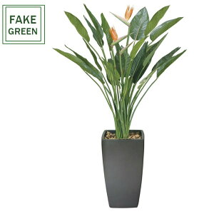 tFCNO[ ϗtA tFCN lHϗtA G}  CeA A  j    lC C  rO ItBX  Vv R L ϗt A[