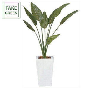 tFCNO[ ϗtA tFCN lHϗtA G}  CeA A  j    lC C  rO ItBX  Vv R L ϗt Xg