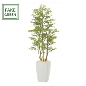 tFCNO[ ϗtA tFCN lHϗtA G}  CeA A  j    lC C  rO ItBX  Vv R L ϗt A[