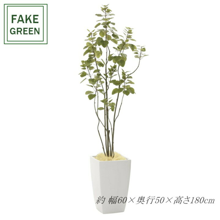 楽天市場】フェイクグリーン 観葉植物 フェイク 人工観葉植物 光触媒 
