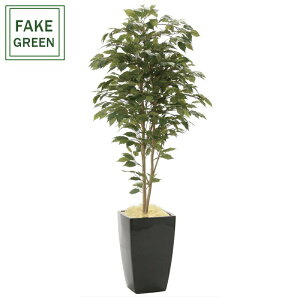 tFCNO[ ϗtA tFCN lHϗtA G}  CeA A  j    lC C  rO ItBX  Vv R L ϗt A[